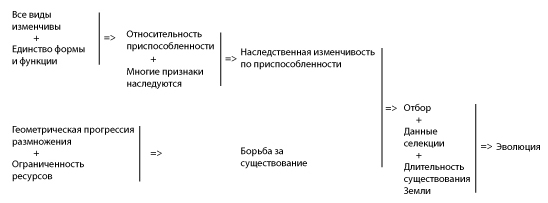 Схема логических построений Ч.Дарвина