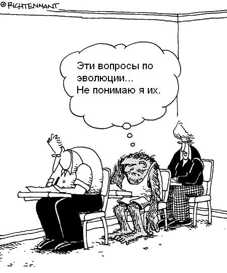 Ответы антиэволюционистам