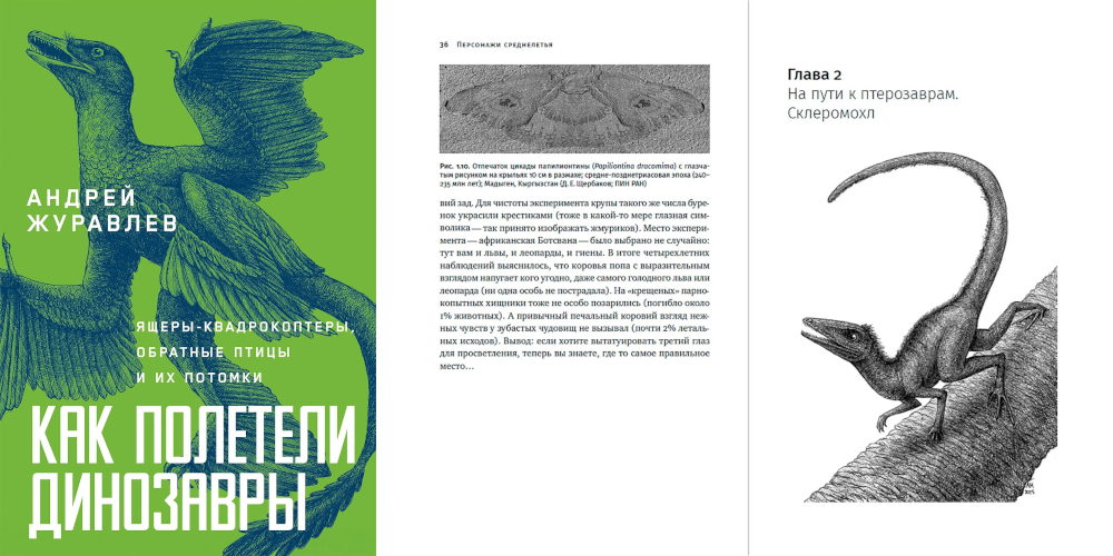 Книга «Как полетели динозавры»