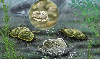 Бактериофаги
